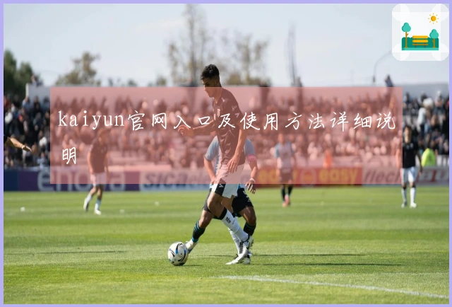 kaiyun官网入口及使用方法详细说明