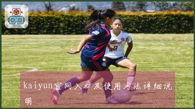 kaiyun官网入口及使用方法详细说明